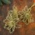 Цветы искусственные блеск "Три лилии" 10,5х60 см, золото