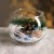 Новогодняя композиция «В стеклянном шаре»