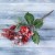Декор "Зимние грезы" калина красная ягодки в снегу, 24 см