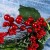 Декор "Зимнее очарование" веточка хвои с ягодками в снегу, 29 см