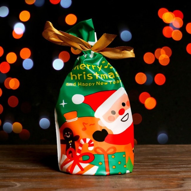 Пакет полиэтиленовый подарочный "С Рождеством!", с завязками, 15*23см
