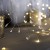 Гирлянда «Мишура» 2 м роса с насадками «Лепестки», IP20, серебристая нить, 100 LED, свечение тёплое белое, ААх3