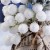 Декор "Зимнее очарование" белые ягоды шишки в мешочке, 22 см