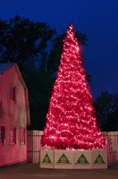 Освещение для уличной елки "Хамелеон RGB"
