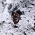 Ёлка "Элит снежная" с шишками (смешанные ветки) 120 см, d нижнего яруса 87 см, 110 веток